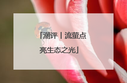 潮评丨流萤点亮生态之光