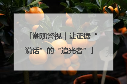 潮观警视｜让证据“说话”的“追光者”