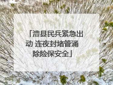 澧县民兵紧急出动 连夜封堵管涌除险保安全