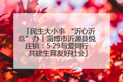 民生大小事 “沂心沂意”办丨淄博市沂源县悦庄镇：5·29与爱同行 共建生育友好社会