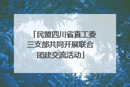 民盟四川省直工委三支部共同开展联合团建交流活动