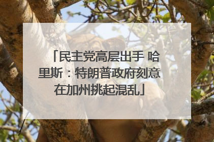 民主党高层出手 哈里斯：特朗普政府刻意在加州挑起混乱