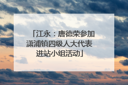 江永：唐德荣参加潇浦镇四级人大代表进站小组活动