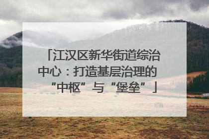江汉区新华街道综治中心：打造基层治理的“中枢”与“堡垒”