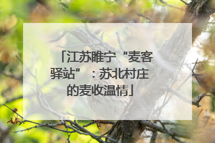 江苏睢宁“麦客驿站”：苏北村庄的麦收温情