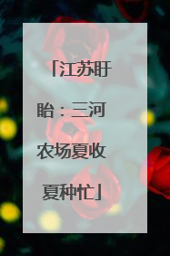 江苏盱眙：三河农场夏收夏种忙