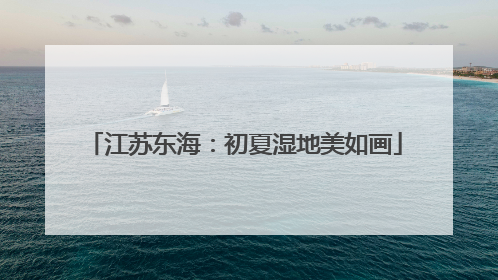 江苏东海：初夏湿地美如画