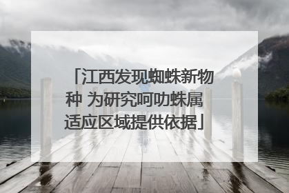 江西发现蜘蛛新物种 为研究呵叻蛛属适应区域提供依据