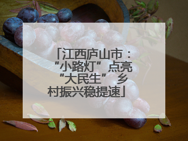 江西庐山市：“小路灯”点亮“大民生” 乡村振兴稳提速
