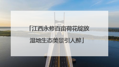 江西永修百亩荷花绽放 湿地生态美景引人醉
