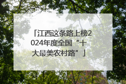 江西这条路上榜2024年度全国“十大最美农村路”