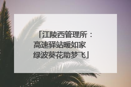 江陵西管理所：高速驿站暖如家 绿波葵花助梦飞