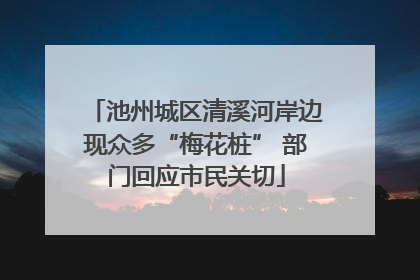 池州城区清溪河岸边现众多“梅花桩” 部门回应市民关切