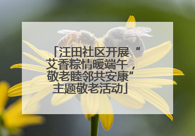 汪田社区开展“艾香粽情暖端午，敬老睦邻共安康”主题敬老活动