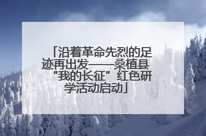 沿着革命先烈的足迹再出发——桑植县“我的长征”红色研学活动启动