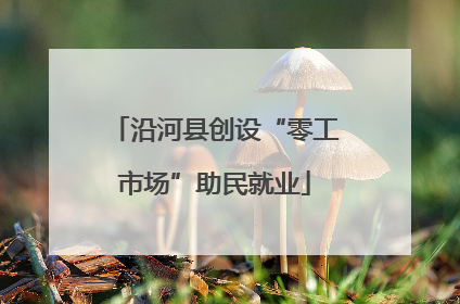 沿河县创设“零工市场”助民就业