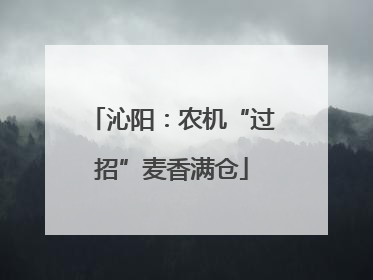 沁阳：农机“过招”麦香满仓