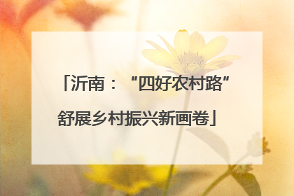 沂南：“四好农村路”舒展乡村振兴新画卷