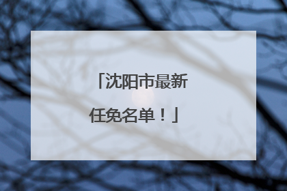 沈阳市最新任免名单！