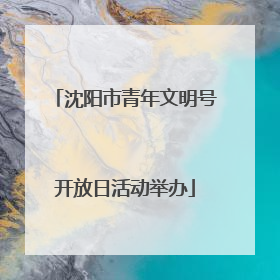 沈阳市青年文明号开放日活动举办