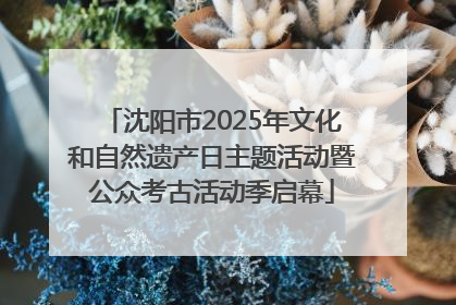 沈阳市2025年文化和自然遗产日主题活动暨公众考古活动季启幕
