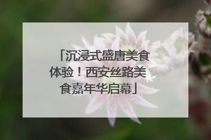 沉浸式盛唐美食体验！西安丝路美食嘉年华启幕