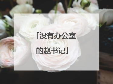 没有办公室的赵书记