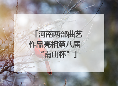 河南两部曲艺作品亮相第八届“南山杯”