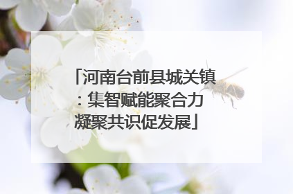 河南台前县城关镇：集智赋能聚合力 凝聚共识促发展