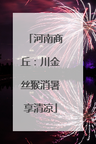 河南商丘：川金丝猴消暑享清凉