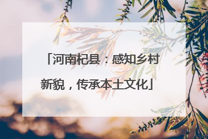 河南杞县：感知乡村新貌，传承本土文化