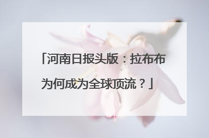 河南日报头版：拉布布为何成为全球顶流？