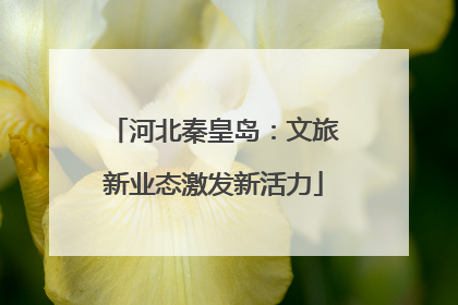 河北秦皇岛：文旅新业态激发新活力