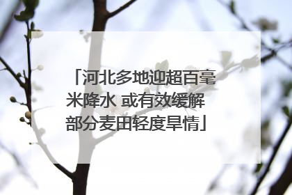 河北多地迎超百毫米降水 或有效缓解部分麦田轻度旱情