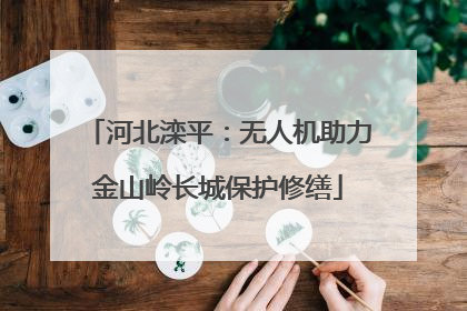 河北滦平：无人机助力金山岭长城保护修缮
