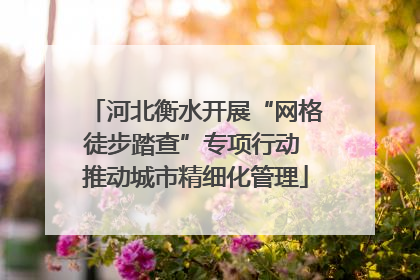 河北衡水开展“网格徒步踏查”专项行动 推动城市精细化管理
