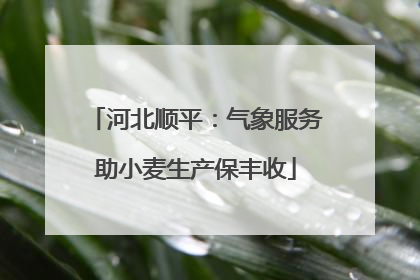 河北顺平：气象服务助小麦生产保丰收