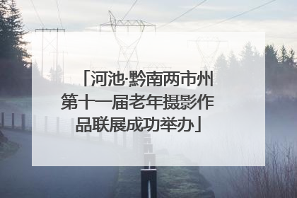 河池·黔南两市州第十一届老年摄影作品联展成功举办