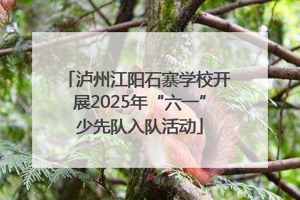 泸州江阳石寨学校开展2025年“六一”少先队入队活动
