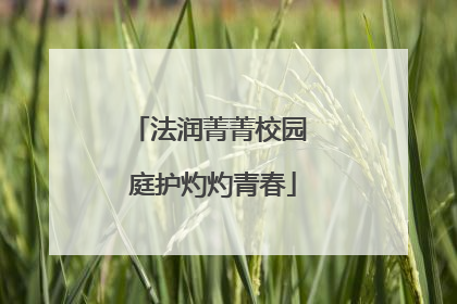 法润菁菁校园 庭护灼灼青春