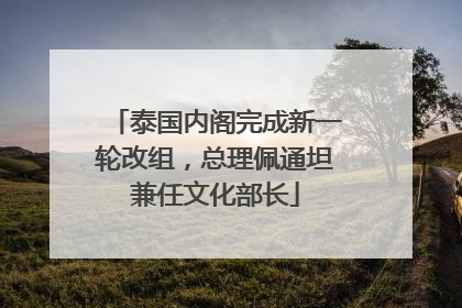 泰国内阁完成新一轮改组，总理佩通坦兼任文化部长