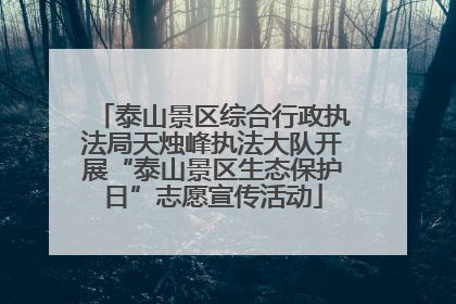 泰山景区综合行政执法局天烛峰执法大队开展“泰山景区生态保护日”志愿宣传活动