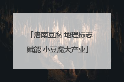 洛南豆腐 地理标志赋能 小豆腐大产业