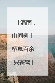 洛南：山间树上栖息百余只苍鹭