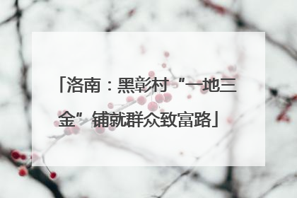 洛南：黑彰村“一地三金”铺就群众致富路
