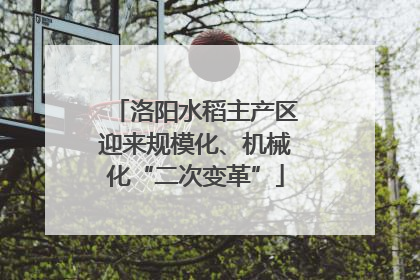 洛阳水稻主产区迎来规模化、机械化“二次变革”