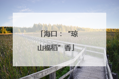 海口：“琼山福稻”香