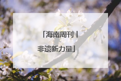 海南周刊丨非遗新力量