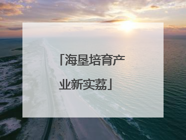 海垦培育产业新实荔