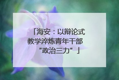 海安：以辩论式教学淬炼青年干部“政治三力”